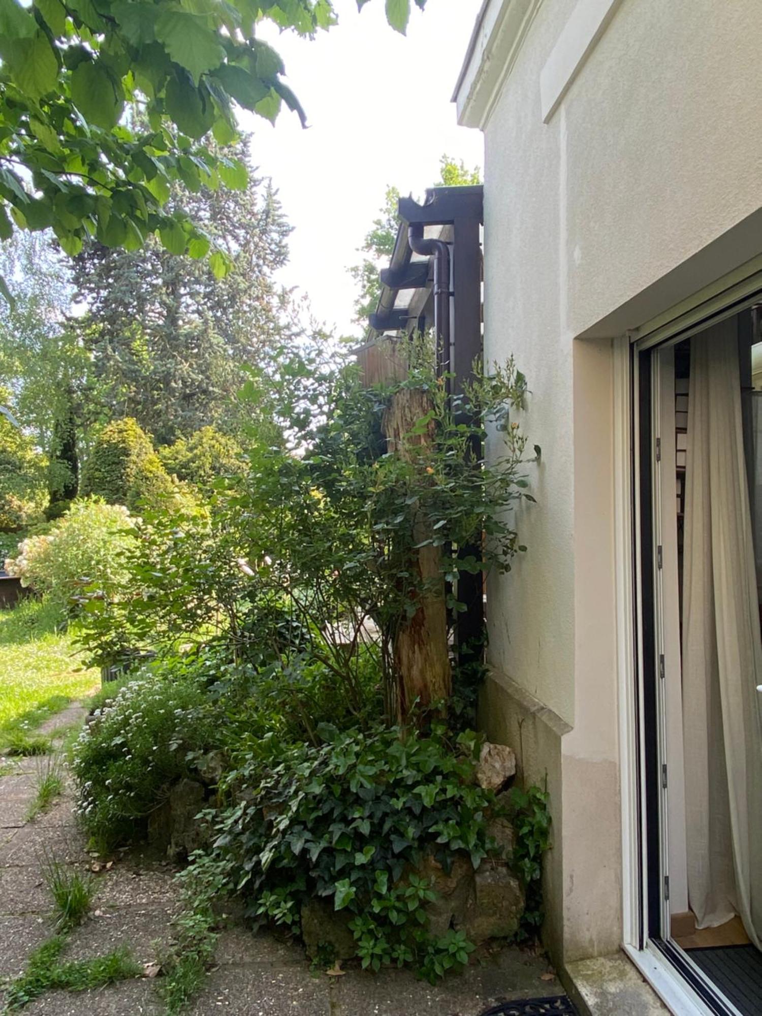 Les Charmettes Chambre D Hotes Independante Villemoisson-Sur-Orge Εξωτερικό φωτογραφία